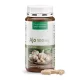 Ajo Cápsulas 500mg