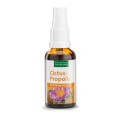 Spray para Garganta de Cistus e Própolis