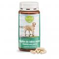 Green-lipped mussel extract for Dogs